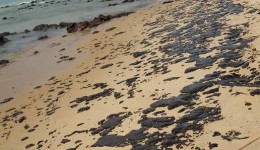 Greenpeace, óleo no litoral do Nordeste e Maduro  