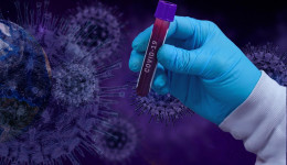 Brasil, só conhecerão o fim da pandemia em meados de novembro,