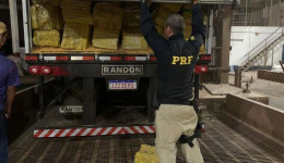 PF E PRF FAZEM A MAIOR APREENSÃO DE MACONHA DO BRASIL.