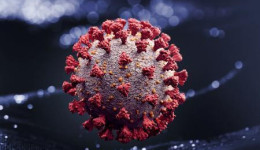 Dourados tem 3,9 mil recuperados do Novo Coronavírus