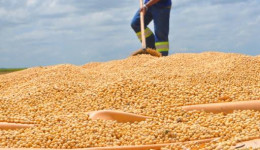Estado é o 5º maior produtor de grãos do país