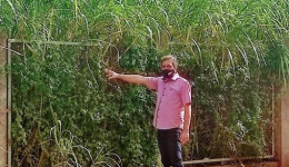Cemar pede limpeza no Parque Rego D’Água e na Leonidas Além