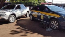 Com auxílio de cães farejadores PRF apreende 205 quilos pasta base de cocaína