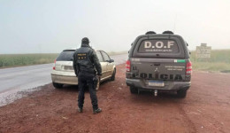 Homem foi preso pelo DOF com 70 quilos de maconha 