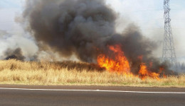 Com tempo muito seco, Defesa Civil alerta para focos de incêndio