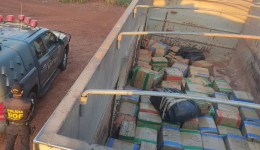 DOF apreende carreta com 3 toneladas de maconha em operação