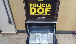Mulher que seguia para Amapá com quase três quilos de haxixe é presa pelo DOF