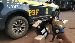 Encomendas com LSD, maconha e ecstasy são encontradas em encomendas enviadas pelos Correios 