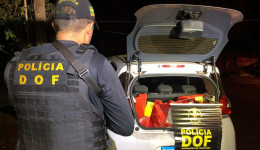 DOF apreende drogas em Douradina