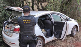 DOF apreende mais de 300 kg de drogas durante operação