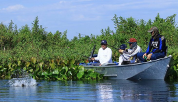 É a última semana para pesca nos rios do MS 