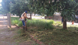 Nova licitação da limpeza pública será lançada em breve