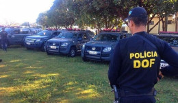 DOF apreende mais de 660 quilos de maconha na MS-162