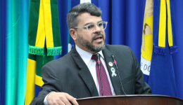Mauricio Lemes pede revitalização do Parque dos Ipês