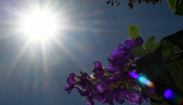 Sábado será de sol e tempo seco em Mato Grosso do Sul