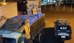 Caminhão com 25 mil pacotes de cigarro é apreendido pelo DOF