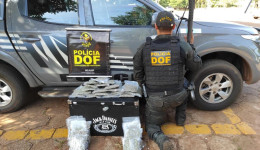 DOF apreende droga em ônibus e van em Ponta Porã e Amambai