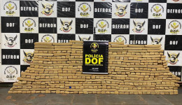 DOF apreende quase 460 quilos de maconha em carro abandonado