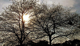 Sexta-feira será de ar seco, sol e poucas nuvens no Estado