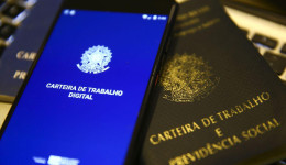 Desemprego registra queda em 22 unidades da federação
