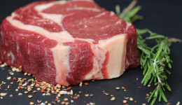Cenário para a carne bovina em 2023 é de otimismo