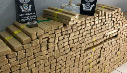 Polícia fecha entreposto com mais de 800 quilos de maconha