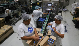 Indústria nacional recua 0,6% em agosto