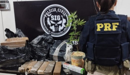 SIG e PRF apreendem quase 70 quilos de maconha em Dourados