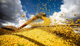 Conab estima recorde na produção de grãos