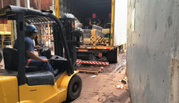Polícia Civil queima 16,5 toneladas de drogas em Dourados