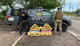 Bolivianas são presas pelo DOF com mais de 40 quilos de skank