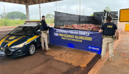 PRF prende caminhoneiro com carga de maconha na BR-463
