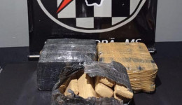 Força Tática apreende mais de 41 quilos de maconha