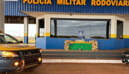 Jovem é preso pela PMR com quase 100 quilos de maconha