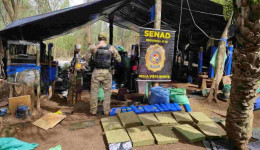 Senad destrói acampamentos do narcotráfico na fronteira de MS