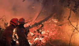 MS declara guerra contra incêndios criminosos, afirma Riedel
