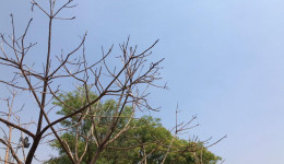 Quinta-feira de céu limpo e calorão de 34ºC em Dourados