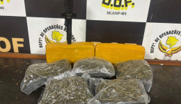 Rapaz é preso pelo DOF transportando R$ 40 mil em skunk