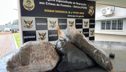 Polícia Civil apreende 2kg de entorpecentes em Dourados