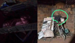 Bebê recém-nascido é resgatado após ser deixado em quintal