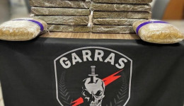 Mulher é presa com 15 quilos de maconha na Capital