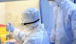 Cientistas chineses anunciam descoberta contra covid-19