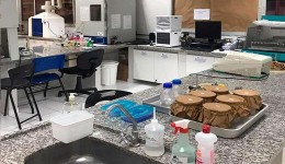 Laboratório da UFGD inicia diagnósticos de covid-19 nesta semana