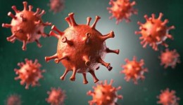Estado confirma mais 567 casos de Coronavírus