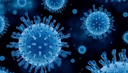 MS registra em 24 horas 546 novos casos de Coronavírus