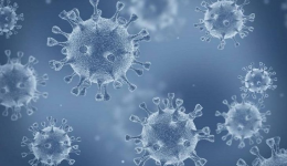 MS registra 2.546 óbitos por coronavírus