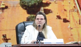 Daniela Hall é a líder do prefeito na Câmara de Vereadores de Dourados  