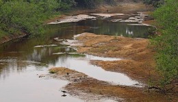 Com mais baixa estação chuvosa em 10 anos, Pantanal já tem 80% das propriedades afetadas