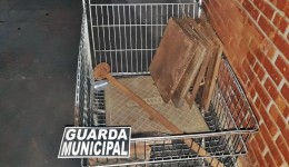 Guarda Municipal recupera “11 tampas de esgoto