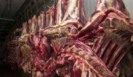 China aceitará carne bovina do Brasil certificada até de 4 de setembro